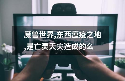 魔兽世界,东西瘟疫之地,是亡灵天灾造成的么-第1张-游戏信息-龙启网