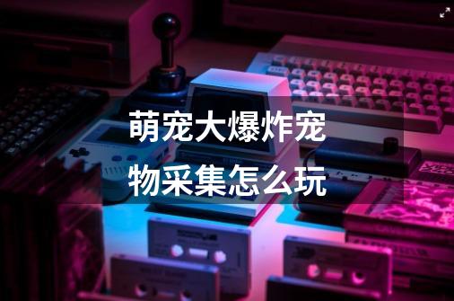 萌宠大爆炸宠物采集怎么玩-第1张-游戏信息-龙启网