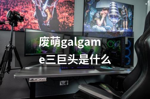 废萌galgame三巨头是什么-第1张-游戏信息-龙启网