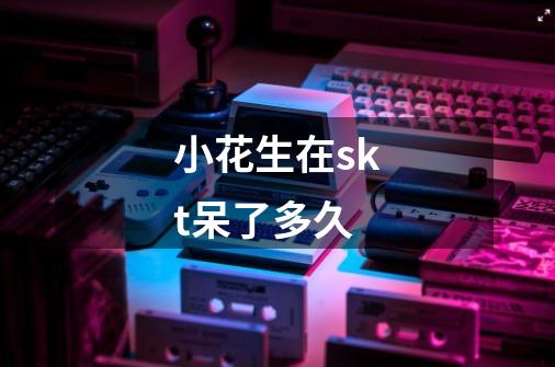 小花生在skt呆了多久-第1张-游戏信息-龙启网