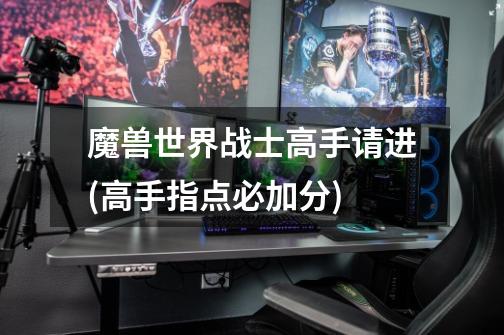 魔兽世界战士高手请进(高手指点必加分)-第1张-游戏信息-龙启网