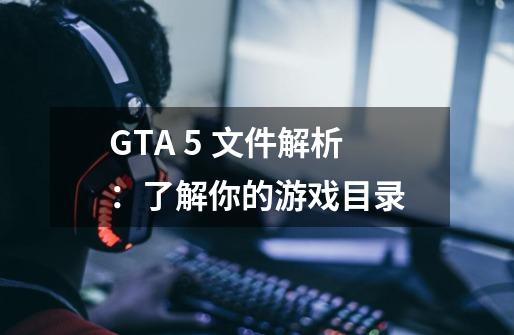 GTA 5 文件解析:了解你的游戏目录-第1张-游戏信息-龙启网