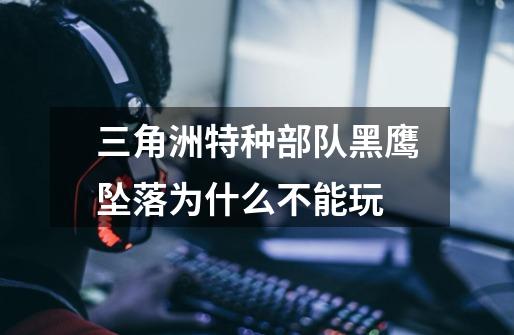三角洲特种部队黑鹰坠落为什么不能玩-第1张-游戏信息-龙启网