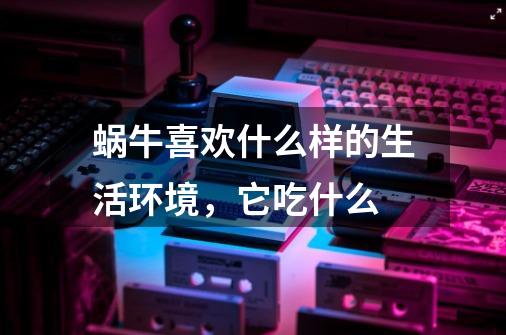 蜗牛喜欢什么样的生活环境,它吃什么-第1张-游戏信息-龙启网