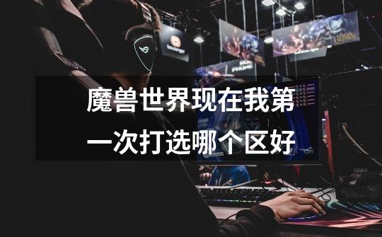 魔兽世界现在我第一次打选哪个区好-第1张-游戏信息-龙启网