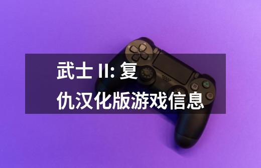 武士 II: 复仇汉化版游戏信息-第1张-游戏信息-龙启网