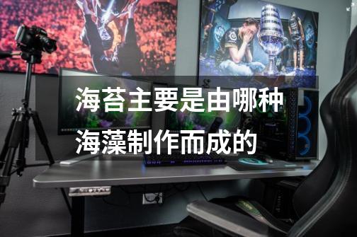 海苔主要是由哪种海藻制作而成的-第1张-游戏信息-龙启网