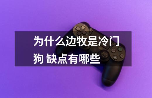 为什么边牧是冷门狗 缺点有哪些-第1张-游戏信息-龙启网