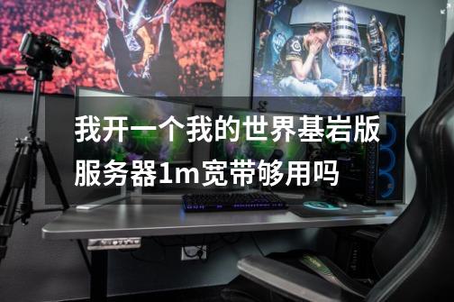 我开一个我的世界基岩版服务器1m宽带够用吗-第1张-游戏信息-龙启网