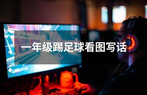 一年级踢足球看图写话-第1张-游戏信息-龙启网