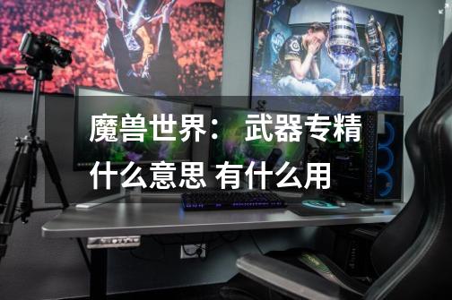 魔兽世界: 武器专精什么意思 有什么用-第1张-游戏信息-龙启网