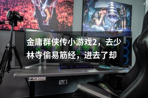 金庸群侠传小游戏2，去少林寺偷易筋经，进去了却-第1张-游戏信息-龙启网