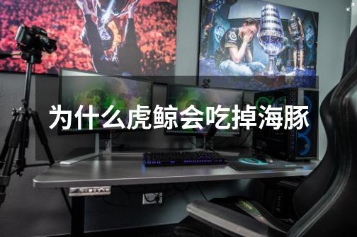 为什么虎鲸会吃掉海豚-第1张-游戏信息-龙启网