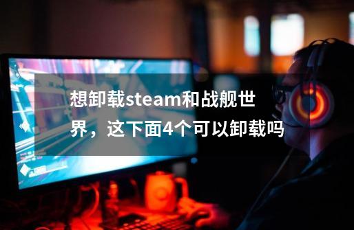想卸载steam和战舰世界，这下面4个可以卸载吗-第1张-游戏信息-龙启网