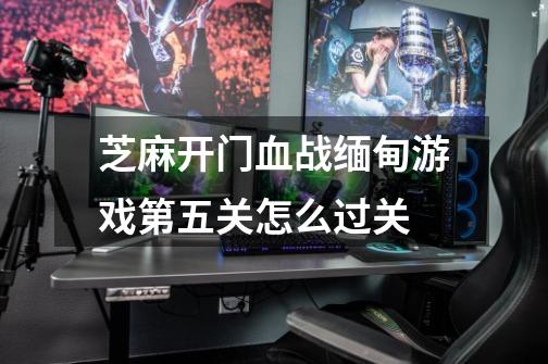 芝麻开门血战缅甸游戏第五关怎么过关-第1张-游戏信息-龙启网