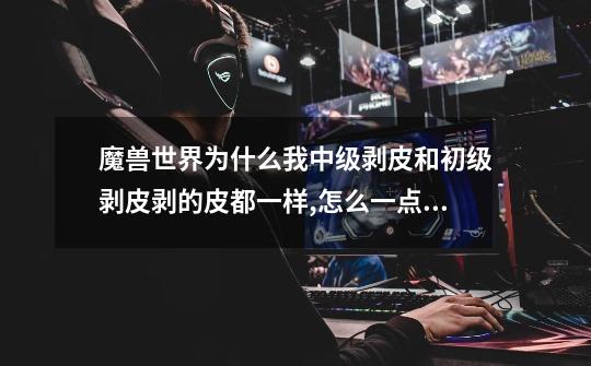 魔兽世界为什么我中级剥皮和初级剥皮剥的皮都一样,怎么一点都没提高-第1张-游戏信息-龙启网