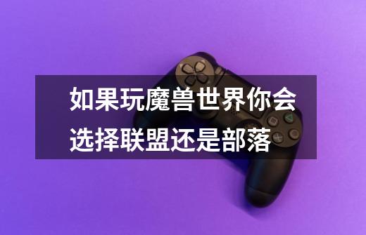 如果玩魔兽世界你会选择联盟还是部落-第1张-游戏信息-龙启网
