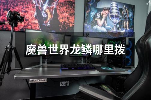 魔兽世界龙鳞哪里拨-第1张-游戏信息-龙启网