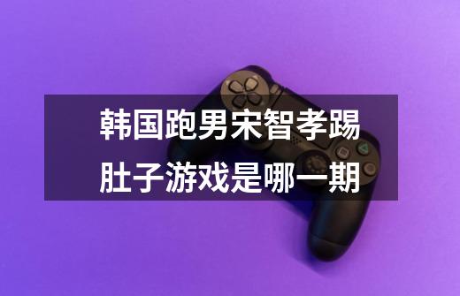 韩国跑男宋智孝踢肚子游戏是哪一期-第1张-游戏信息-龙启网