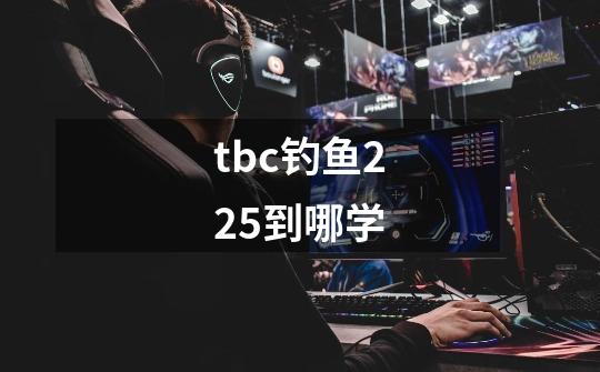 tbc钓鱼225到哪学-第1张-游戏信息-龙启网