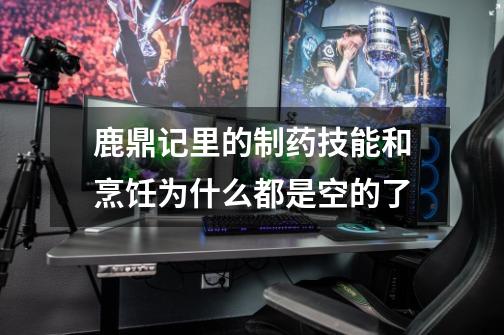 鹿鼎记里的制药技能和烹饪为什么都是空的了-第1张-游戏信息-龙启网