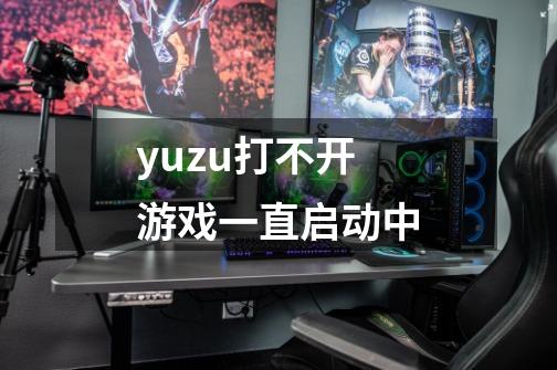 yuzu打不开游戏一直启动中-第1张-游戏信息-龙启网