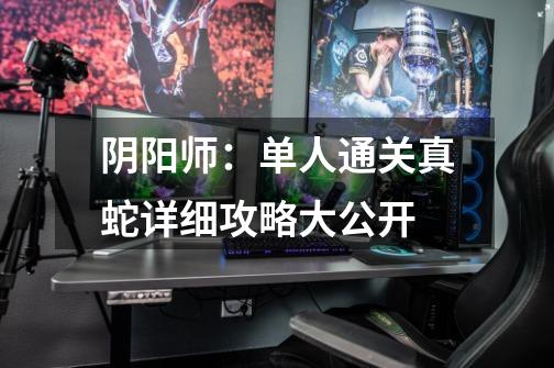 阴阳师:单人通关真蛇详细攻略大公开-第1张-游戏信息-龙启网