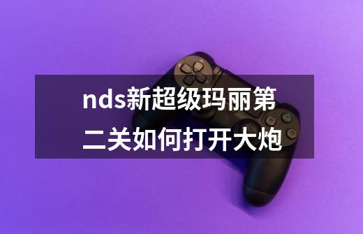 nds新超级玛丽第二关如何打开大炮-第1张-游戏信息-龙启网
