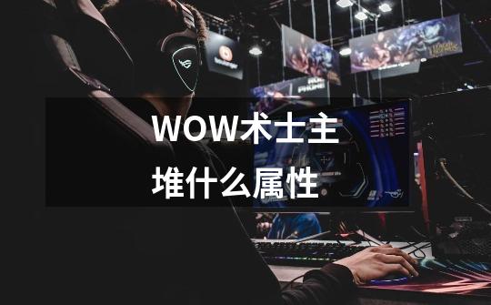 WOW术士主堆什么属性-第1张-游戏信息-龙启网
