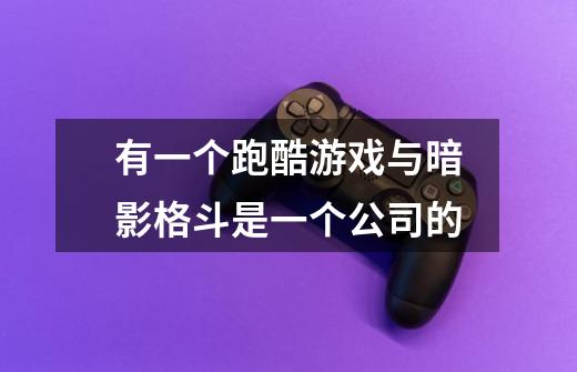 有一个跑酷游戏与暗影格斗是一个公司的-第1张-游戏信息-龙启网