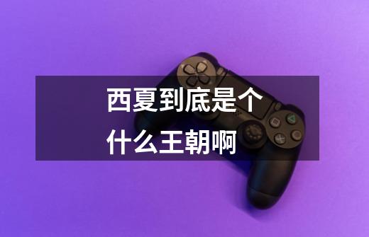 西夏到底是个什么王朝啊-第1张-游戏信息-龙启网