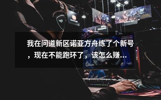 我在问道新区诺亚方舟练了个新号,现在不能跑环了,该怎么赚钱-第1张-游戏信息-龙启网