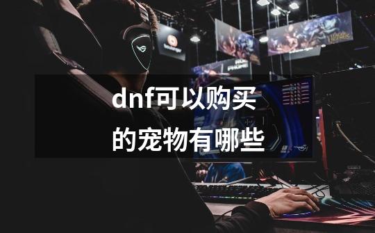 dnf可以购买的宠物有哪些-第1张-游戏信息-龙启网