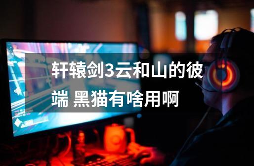 轩辕剑3云和山的彼端 黑猫有啥用啊-第1张-游戏信息-龙启网