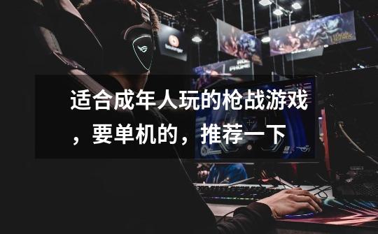 适合成年人玩的枪战游戏,要单机的,推荐一下-第1张-游戏信息-龙启网