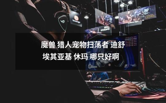 魔兽 猎人宠物扫荡者 迪舒 埃其亚基 休玛 哪只好啊-第1张-游戏信息-龙启网
