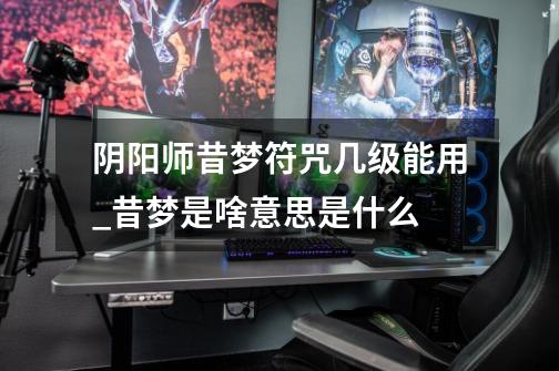 阴阳师昔梦符咒几级能用_昔梦是啥意思是什么-第1张-游戏信息-龙启网