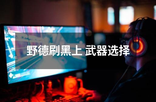 野德刷黑上 武器选择-第1张-游戏信息-龙启网