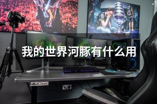 我的世界河豚有什么用-第1张-游戏信息-龙启网