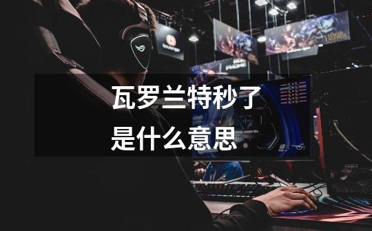 瓦罗兰特秒了是什么意思-第1张-游戏信息-龙启网