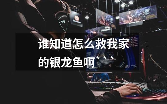 谁知道怎么救我家的银龙鱼啊```-第1张-游戏信息-龙启网