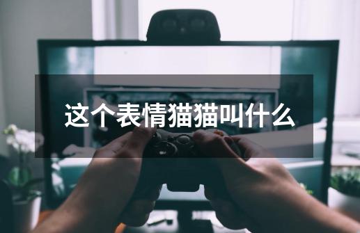 这个表情猫猫叫什么-第1张-游戏信息-龙启网