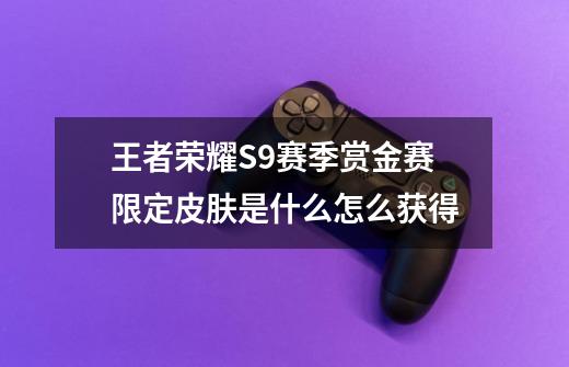 王者荣耀S9赛季赏金赛限定皮肤是什么怎么获得-第1张-游戏信息-龙启网
