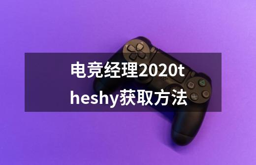 电竞经理2020theshy获取方法-第1张-游戏信息-龙启网