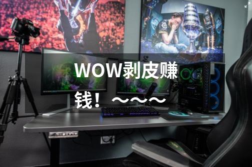 WOW剥皮赚钱!~~~-第1张-游戏信息-龙启网