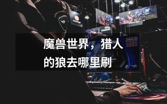 魔兽世界,猎人的狼去哪里刷-第1张-游戏信息-龙启网