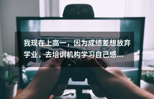 我现在上高一,因为成绩差想放弃学业,去培训机构学习自己感兴趣的游戏设计专业。请问学这有前途好就业吗-第1张-游戏信息-龙启网