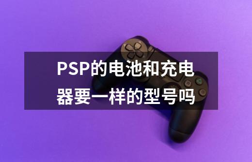 PSP的电池和充电器要一样的型号吗-第1张-游戏信息-龙启网