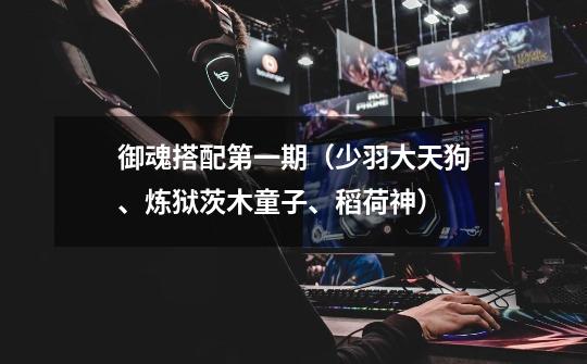 御魂搭配第一期(少羽大天狗、炼狱茨木童子、稻荷神)-第1张-游戏信息-龙启网