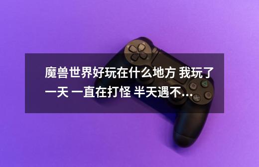 魔兽世界好玩在什么地方 我玩了一天 一直在打怪 半天遇不到一个玩家帮忙 想玩单机 而且任务差不多都-第1张-游戏信息-龙启网